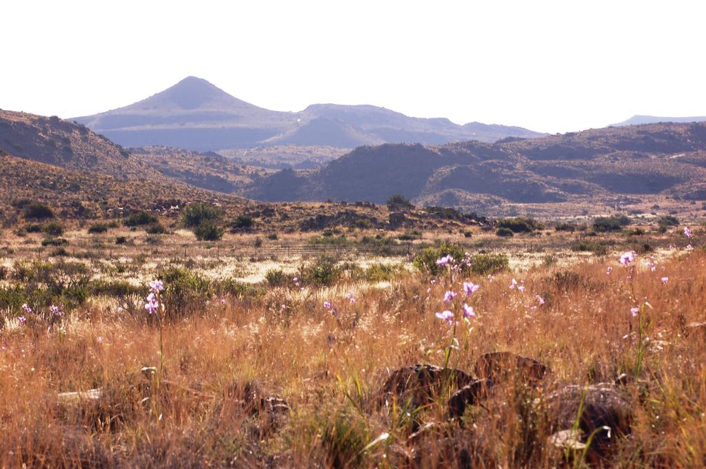 The Vale Karoo Farm Vila Nelspoort Exterior foto